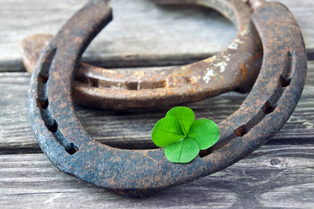 istock Lucky symbol horseshoe and lucky clover 1171926985