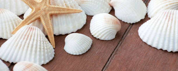 istock Wellness Banner against a wooden background 1171927612