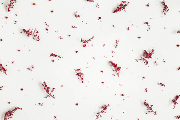 istock Autumn composition. Pattern made of red flowers, berries on gray background. Autumn, fall, thanksgiving day concept. Flat lay, top view, copy space 1171928945