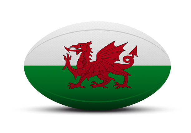 ilustrações de stock, clip art, desenhos animados e ícones de rugby ball with the flag of argentina - australian rugby championship