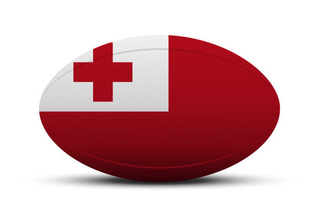 illustrations, cliparts, dessins animés et icônes de bille de rugby avec le drapeau de l'argentine - rugby fiji ball rugby ball