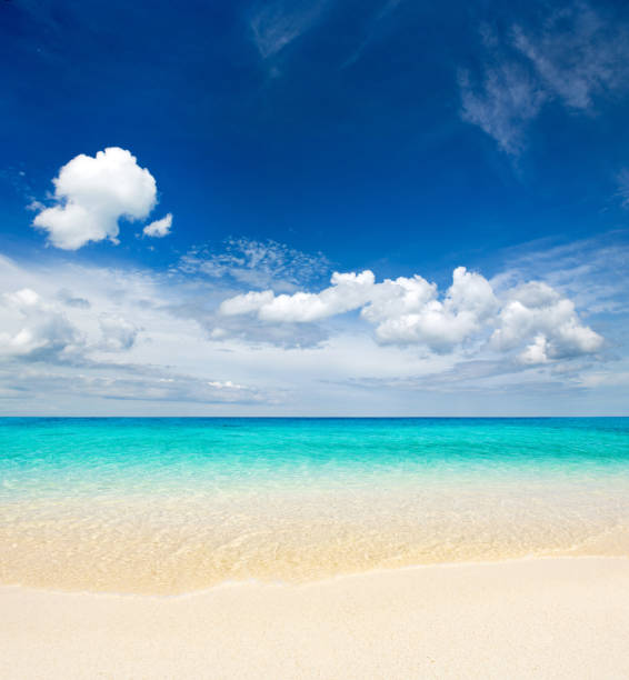istock tropical Maldives island with white sandy beach and sea 1171929961