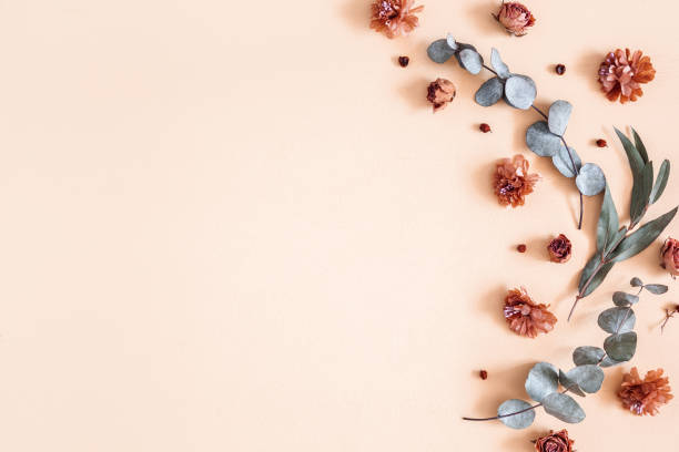 istock Autumn composition. Pattern made of dried flowers, eucalyptus leaves, berries on beige background. Autumn, fall, thanksgiving day concept. Flat lay, top view, copy space 1171929972