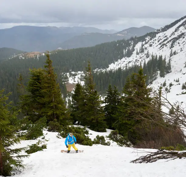 Panoramic view of winter wooded mountains under grey sky. Top angle view of unrecognizable male freeriding on snowboard on foreground near green fir trees. Mountain snowboarding off-piste ski-touring