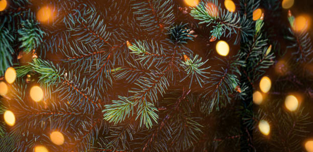 istock Creative layout made of Christmas tree branches with abstract  golden bokeh lights. Festive Xmas wide wallpaper 1171933607