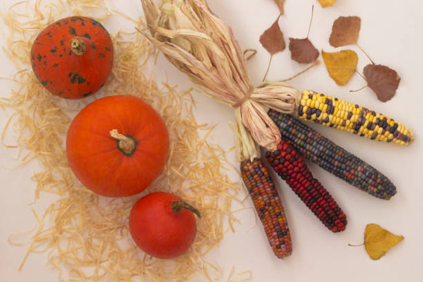 istock Orange pumpkins on a straw. Multi-colored ears of corn. Autumn leaves. Light background 1171934122