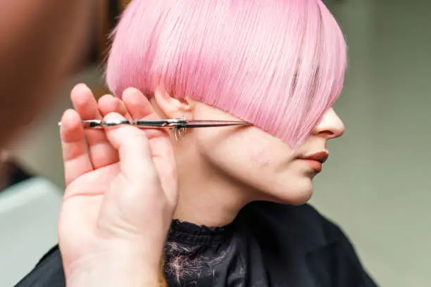 close up hands of professional hair stylist are cuting pink hair with scissors, concept beauty salon, female hairdresser