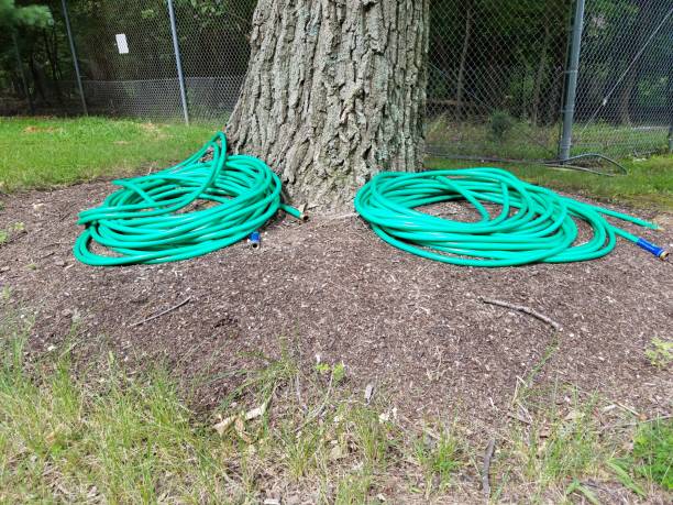 istock tree trunk with green hoses and metal fence 1171941392