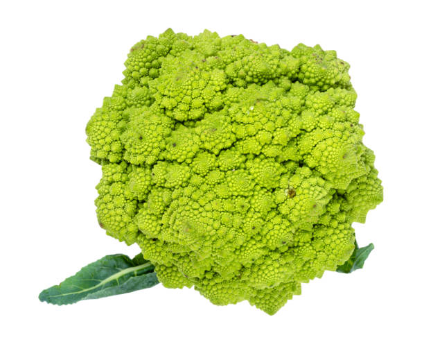 istock head of fresh romanesco broccoli cabbage cutout 1171944418