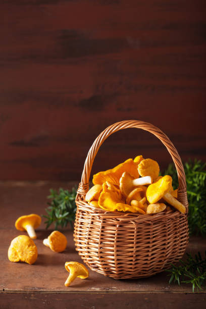 сырые свежие грибы лисички на темном фоне - chanterelle edible mushroom gourmet uncultivated стоковые фото и изображения