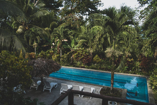 istock Idyllic view of pool in the garden 1171948113