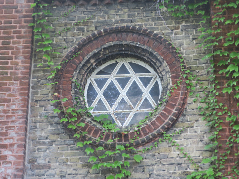 a wall with a round  six pointed star formed window and ivy growing