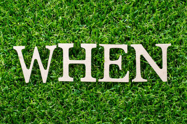 istock Wood letter in word when on artificial green grass background 1171950340
