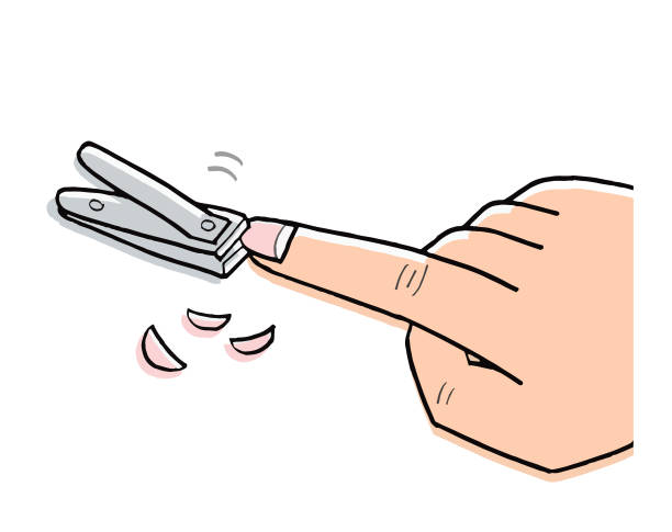 Scene Of Cutting An Extended Nail Stock Illustration - Download Image Now - Fingernail, Cutting, Manicure - iStock Scene Of Cutting An Extended Nail Stock Illustration - Download Image Now - Fingernail, Cutting, Manicure - iStock