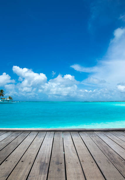 istock Maldives island with white sandy beach and sea 1171953232