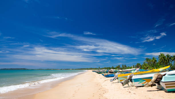 istock beach and tropical sea 1171953252
