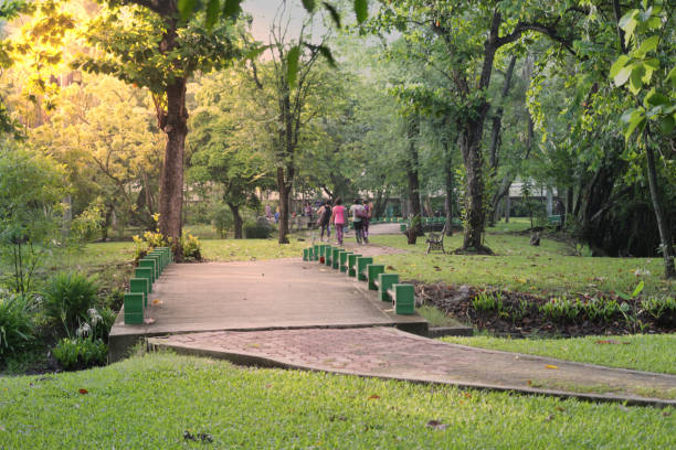 istock Bridge across canal in public park 1171955028