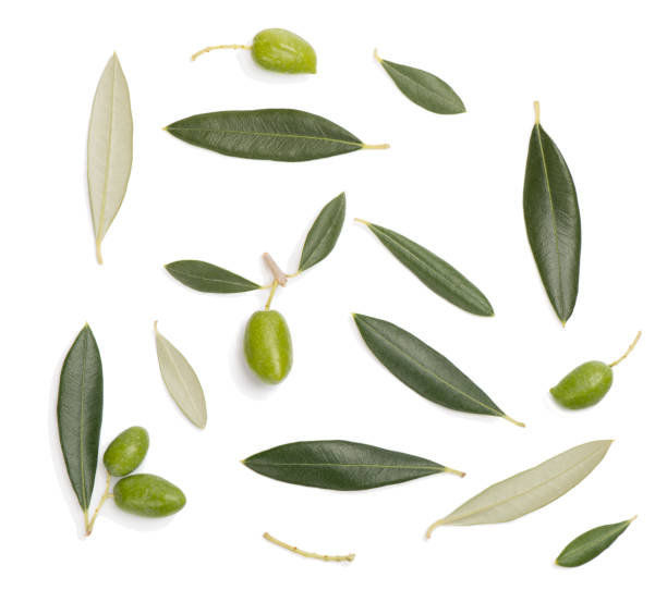 istock Green olives and leaves. Top view. 1171956503