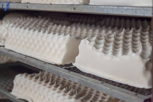 istock row of rubber latex pillow in drying process 1171960292