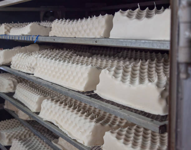istock row of rubber latex pillow in drying process 1171960350
