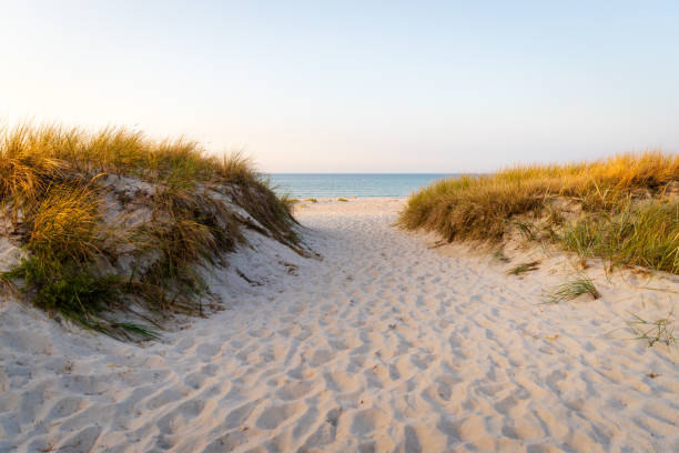 Sunset on the beach - wooden path, sea and cloudy sky on the background. Shot taken on the Curonian Spit in Kaliningrad region, Russia.