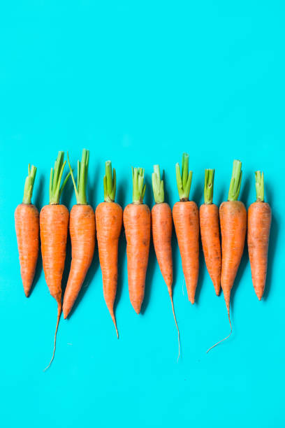istock several fresh carrots lie in a row on a blue background. 1171965988