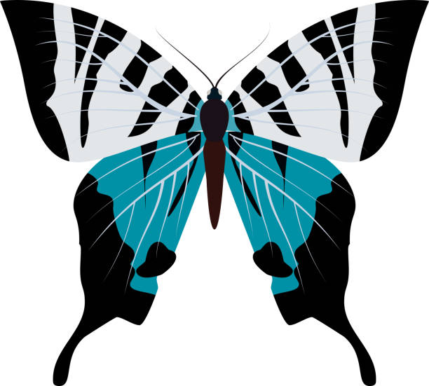 istock Big collection of colorful butterflies. Butterflies isolated on white. Vector 1171969359