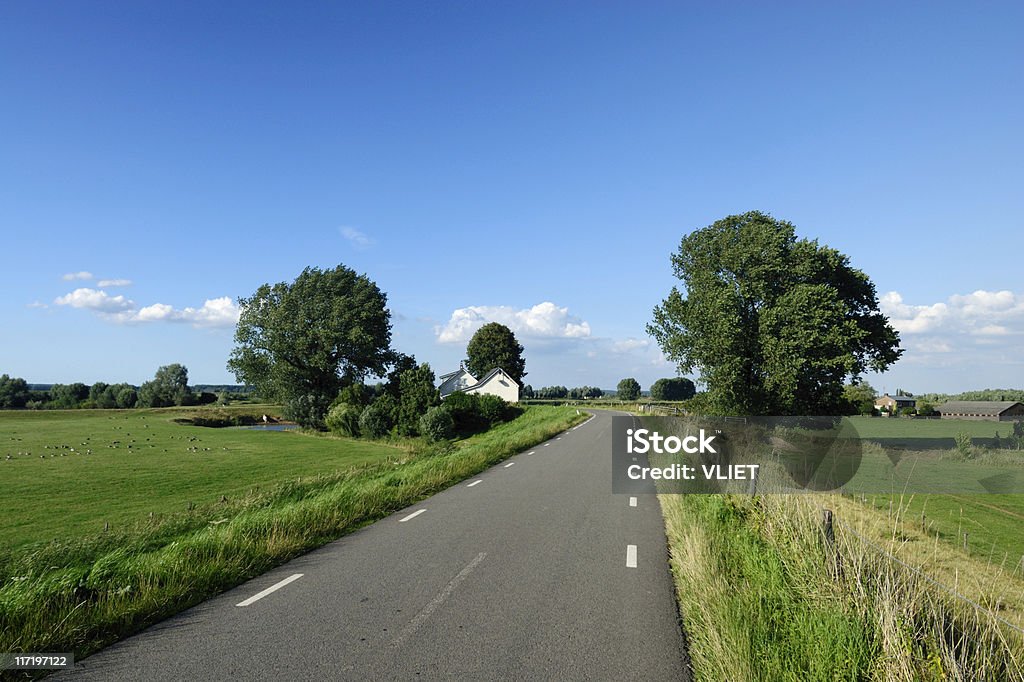 En néerlandais Paysage Rural road - Photo de Arbre libre de droits