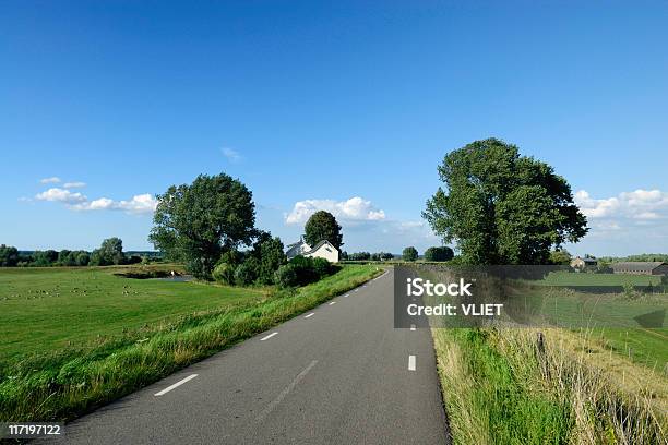 Photo libre de droit de En Néerlandais Paysage Rural Road banque d'images et plus d'images libres de droit de Arbre - Arbre, Arbre à feuilles caduques, Bleu