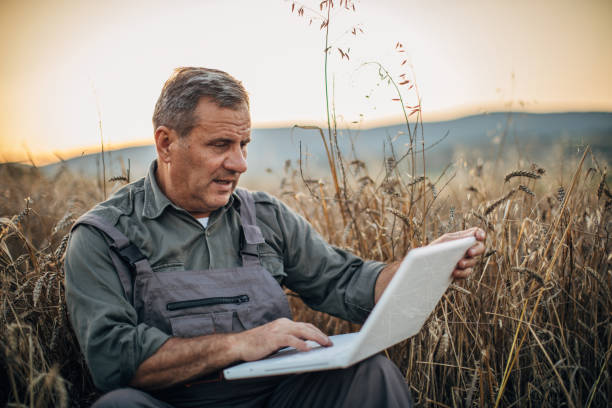 istock Senior farmer is using laptop at field 1171975238