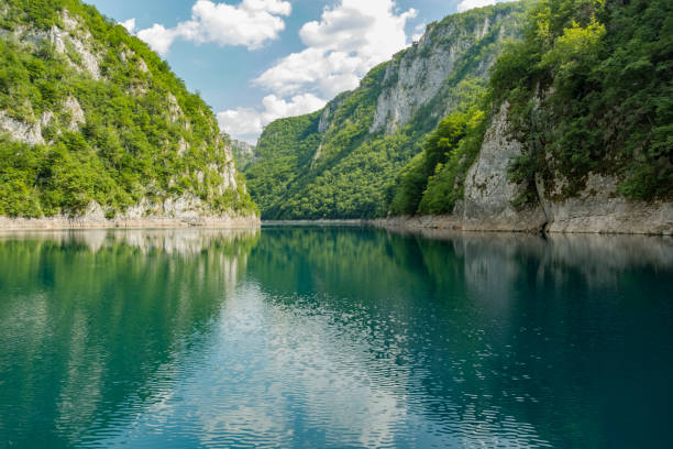 istock Mountain forest reflecting in the lake surface 1171976482