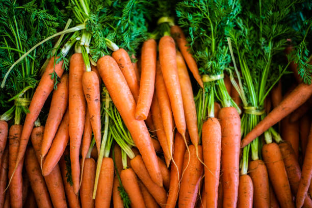 Bunches of fresh carrots with green on a market stall stock photo