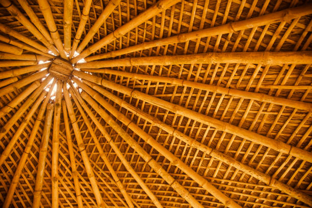 Stylish bamboo made ceiling decoration photo