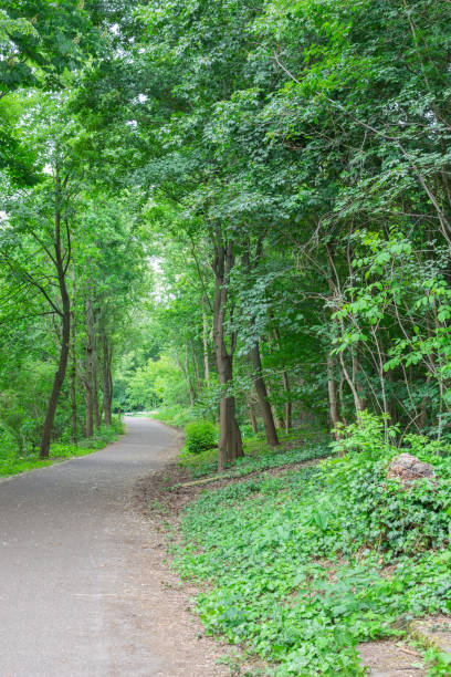 istock Cozy paths in the Volkspark Prenzlauer Berg 1171987828