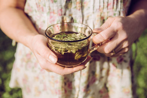 Closeup view of woman hands holding tea cup with common lady's mantle leaf ground infusion tea in it wearing floral summer dress. Relaxing herbal tea concept. Closeup view of woman hands holding tea cup with common lady's mantle leaf ground infusion tea in it wearing floral summer dress. Relaxing herbal tea concept. herbal tea stock pictures, royalty-free photos & images