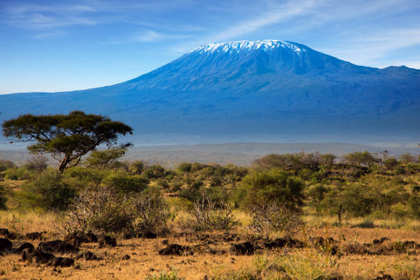 istock Travel to Africa 1171991265