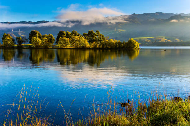 istock Flock of ducks swims 1171991273