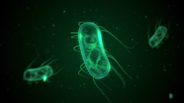 Computer generated E. Coli bacteria floating