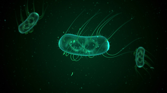 E. Coli bacteria 3d illustration