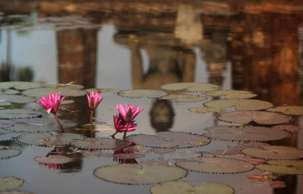 Jayatataka monument, a former Hindu royal temple that is now associated with Buddhist symbols, situated in the center of baray on an island, mirroring the sacred Himalayan lake Anavatapta.