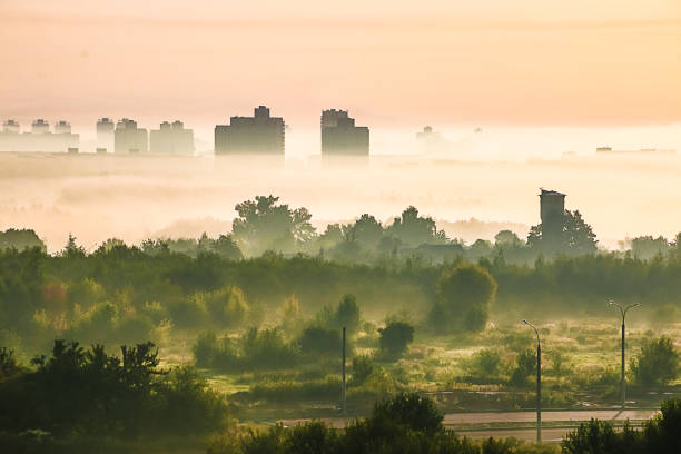 istock Bright beautiful dawn, light passes through the fog 1171997793