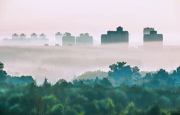 Bright beautiful dawn, light passes through the fog.