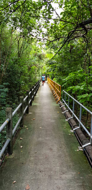 istock side walk with handrail  in green environment, lung of Bangkok 1171999361