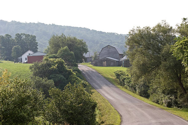 istock Farmstead on hazy Summer Morning, with backlighting 117200232