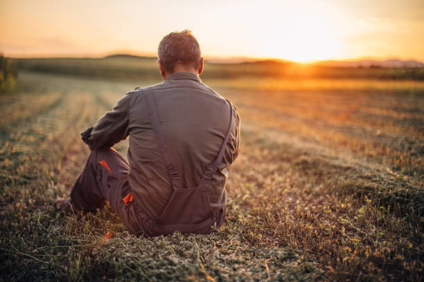 istock Farmer sitting at field after harvest 1172002737