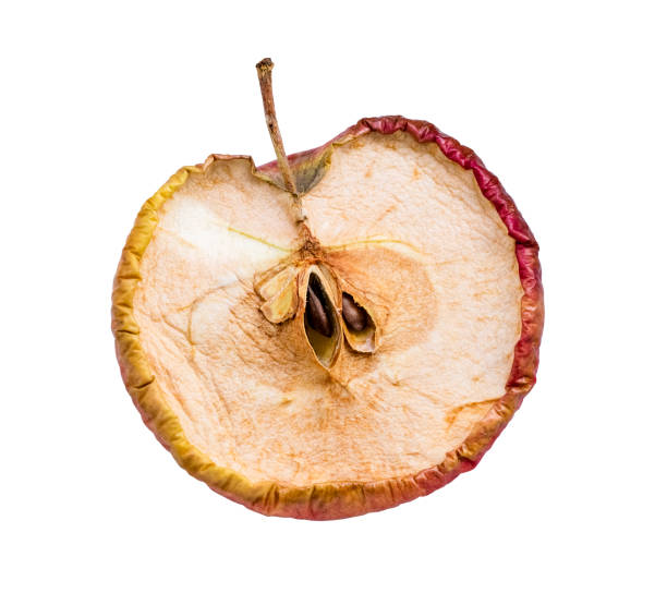 dried apple. Inside of an old apple on white background dried apple. Inside of an old apple on white background. Isolated object rotting apple fruit wrinkled stock pictures, royalty-free photos & images