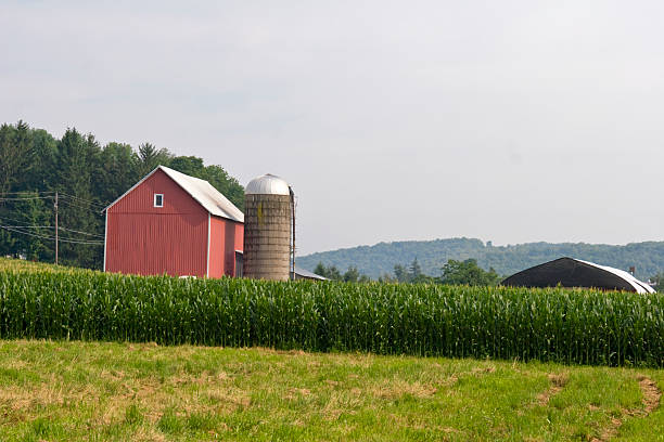 istock Red Barn and Silo on Sunny Summer Morning 117200597