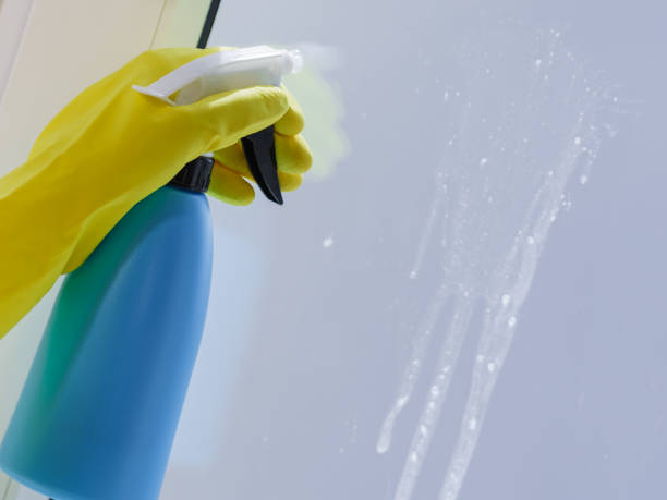 istock Person spraying window cleaning detergent 1172010731