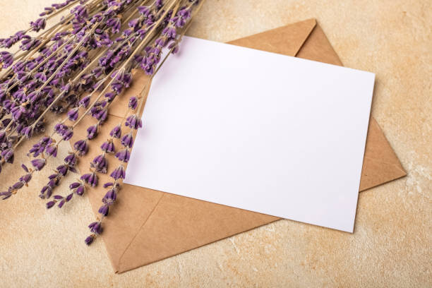 istock Blank paper with Kraft envelope and lavender flowers on a light background 1172014306