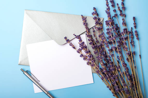 istock Blank paper with envelope and lavender flowers on a blue background. Simple wedding card 1172014692